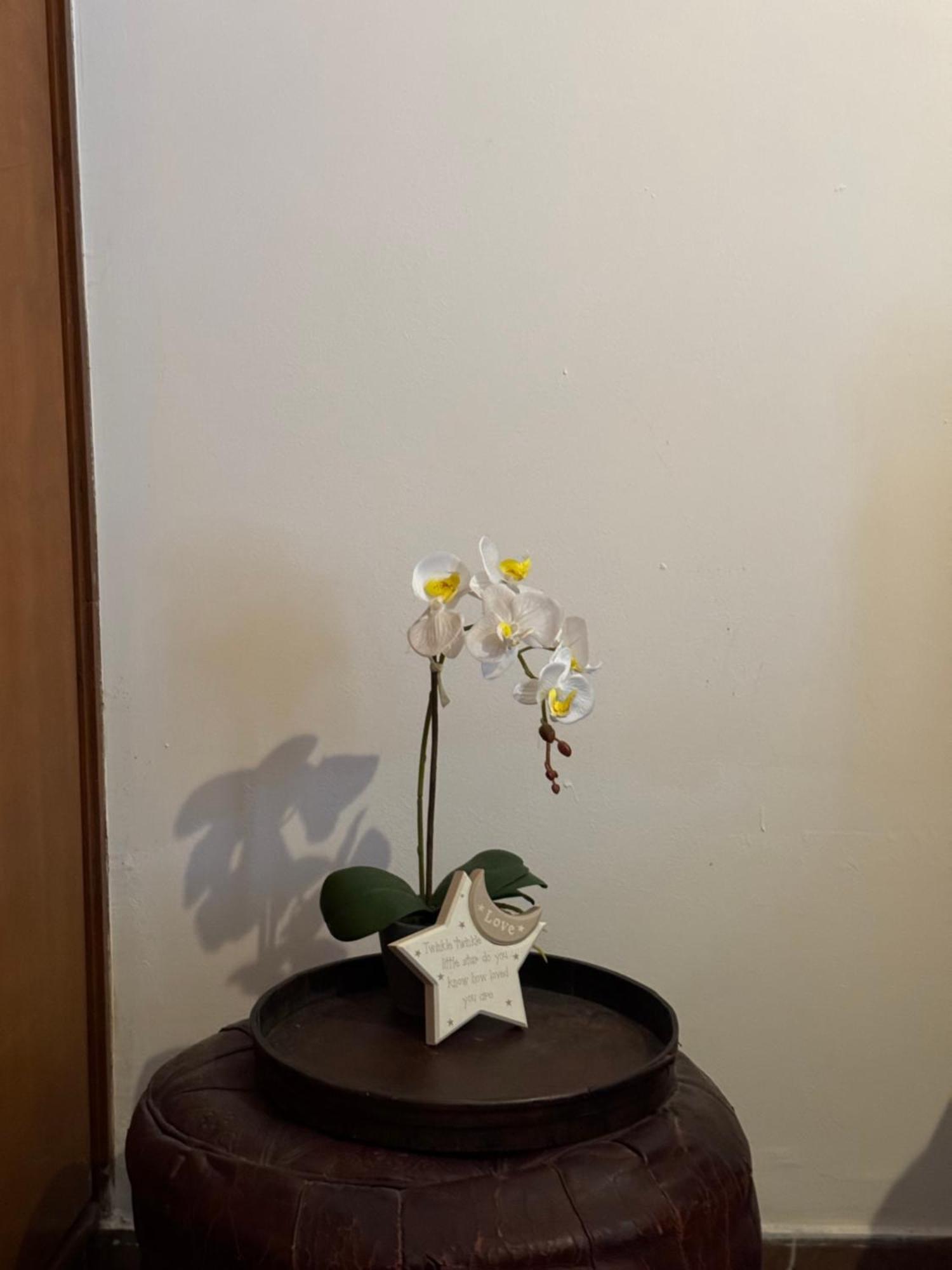 Apartament Apollo Athens/airport
